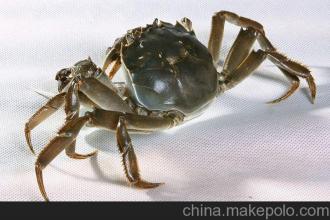 ��������κ���բз������ȫ��