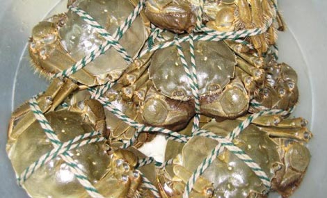 ��������κ���բз������ȫ��